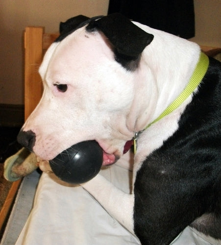 KONG Pelota Extreme para Perros