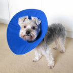 Collar Isabelino KONG EZ Soft para perros pequeños y gatos, diseño acolchado azul para recuperación postoperatoria.