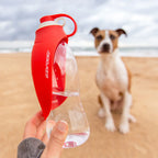 EzyDog Botella Leaf 600 ml