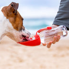 EzyDog Botella Leaf 600 ml