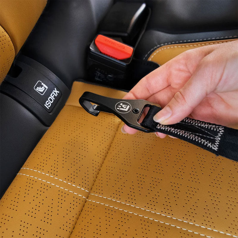 EzyDog Click Isofix Cargo