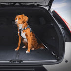 EzyDog Click Isofix Cargo