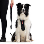 EzyDog Click Leash