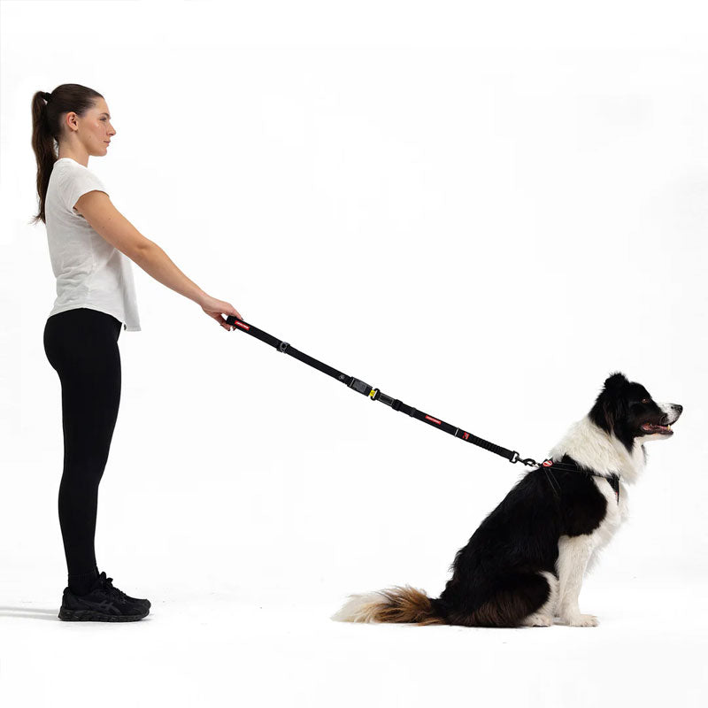 EzyDog Click Leash