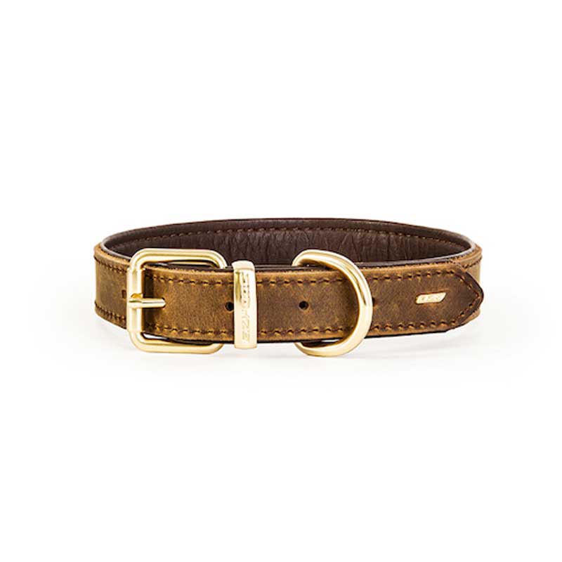 Collar de Cuero Oxford EzyDog - Small