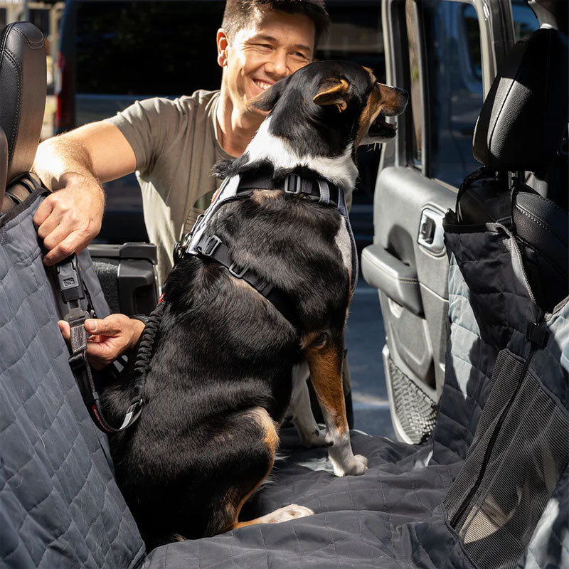 EzyDog Hamaca Protectora de Asiento Trasero
