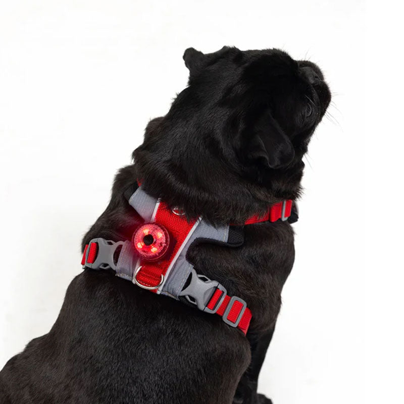 EzyDog GO2 Luz Roja para Perros