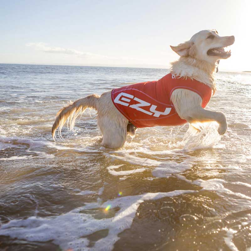 Camiseta Playa Filtro UV Rashies EzyDog - L