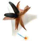 Juguete Interactivo "Plumas Giratorias" Pet Droid