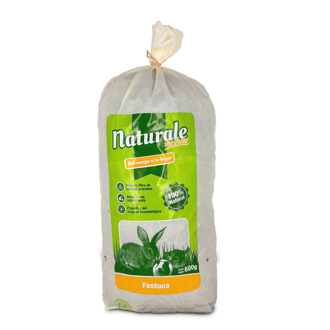 Heno de Festuca Naturale - 600 g / Chile