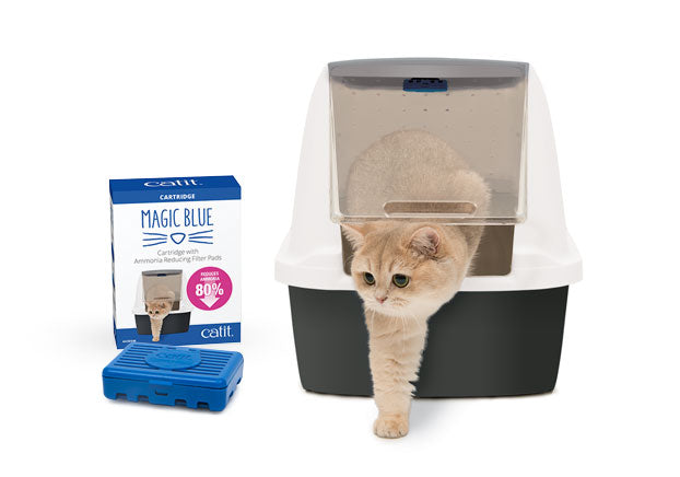 Filtro MAGIC BLUE para Caja de Arena