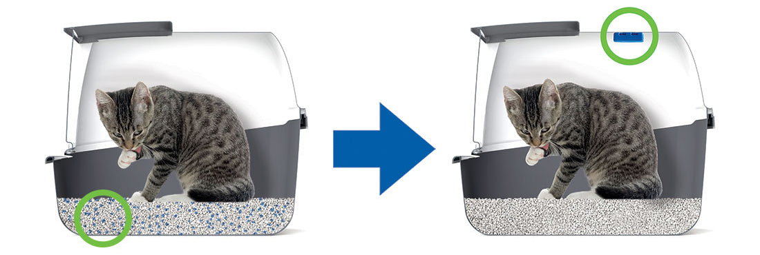 Filtro MAGIC BLUE para Caja de Arena