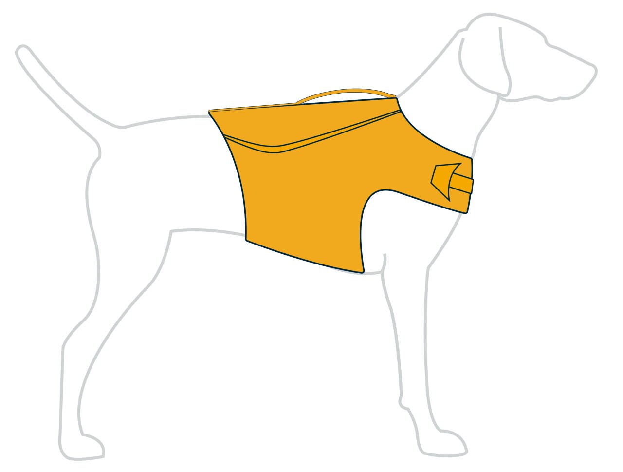 Chaleco Salvavidas "Float Coat" Ruffwear