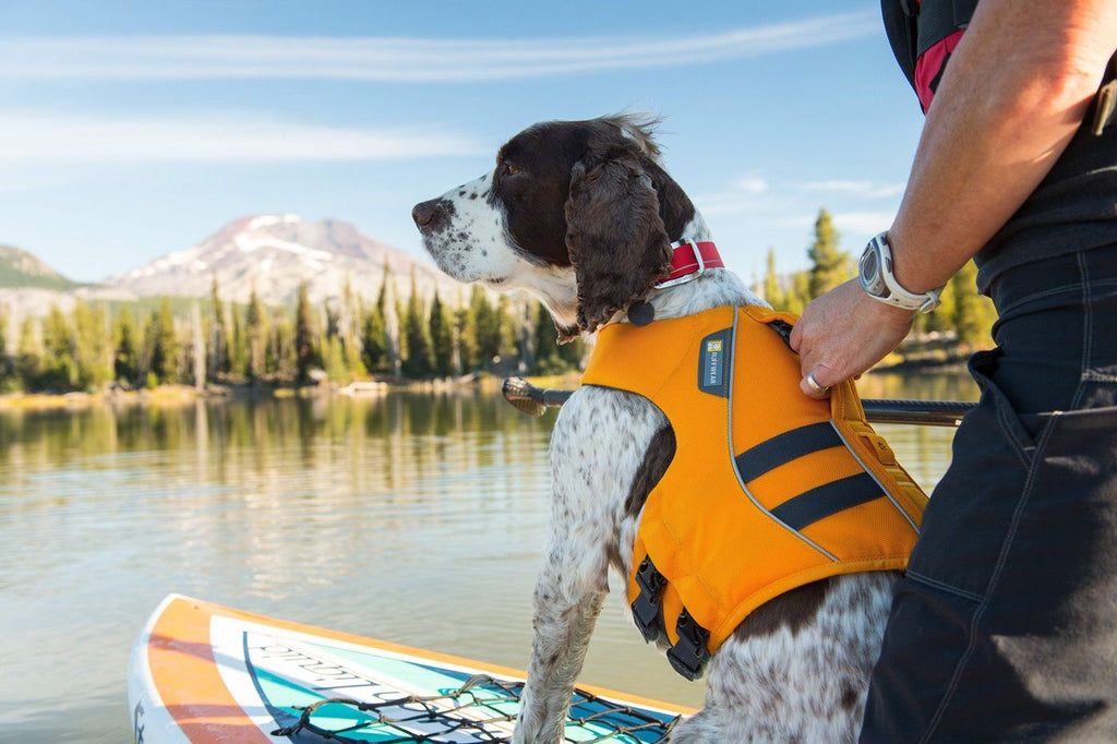 Chaleco Salvavidas "Float Coat" Ruffwear - S: 56-69 cm / Blue Atoll