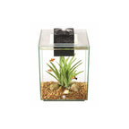 Acuario Fluval Chi 19 L