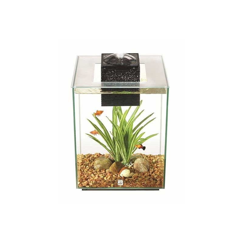 Acuario Fluval Chi 19 L