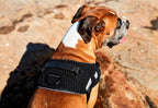 Arnés "Flyharness" Gotham Zee.Dog
