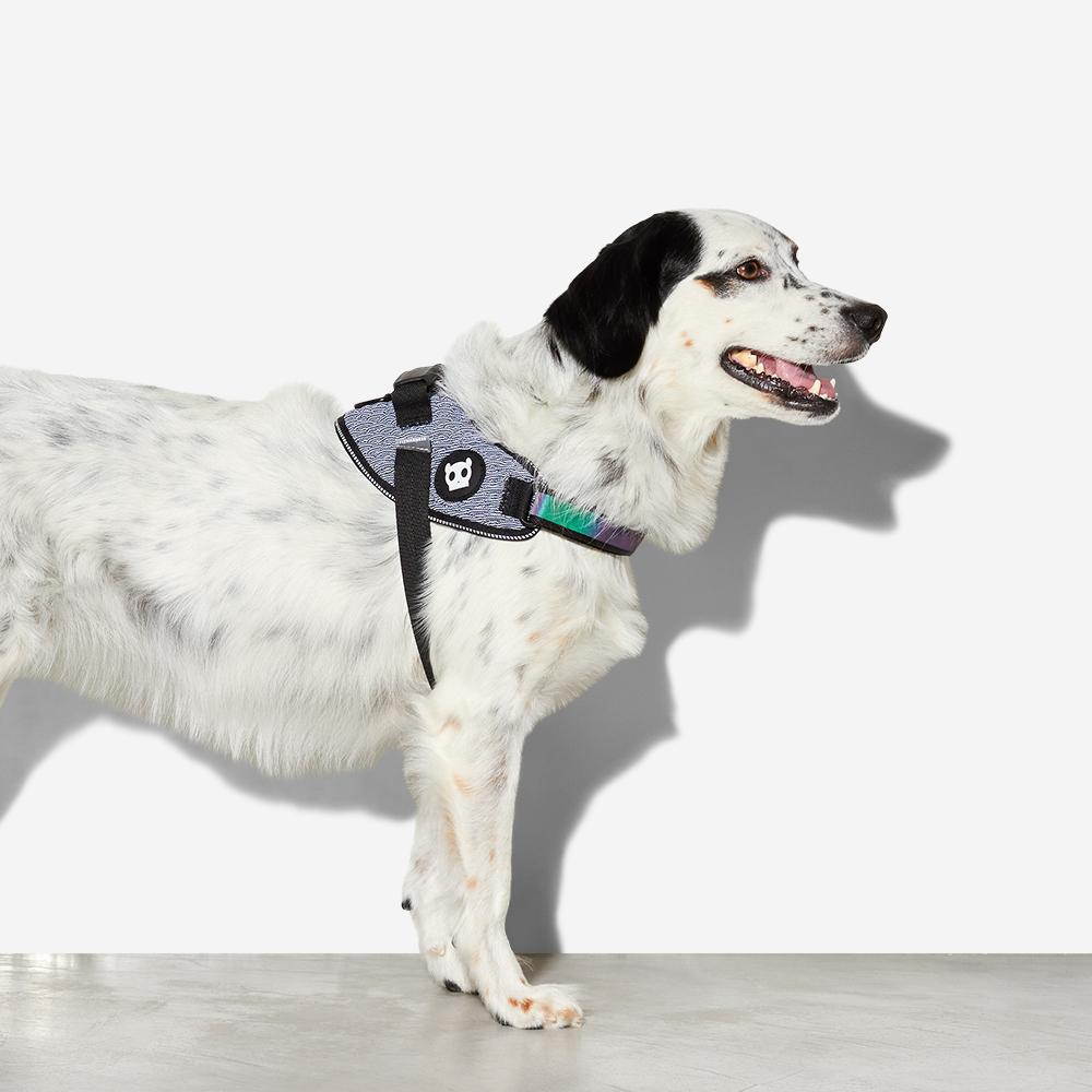 Arnés "FlyHarness" Urban Zee.Dog 