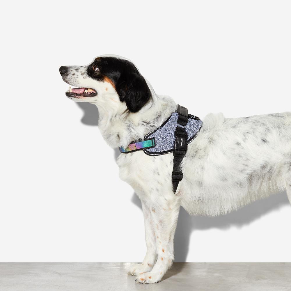Arnés "FlyHarness" Urban Zee.Dog 