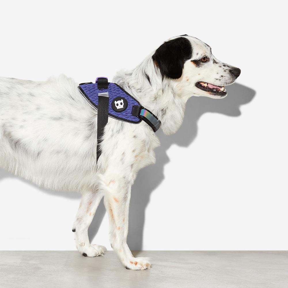 Arnés "FlyHarness" Wicked Zee.Dog