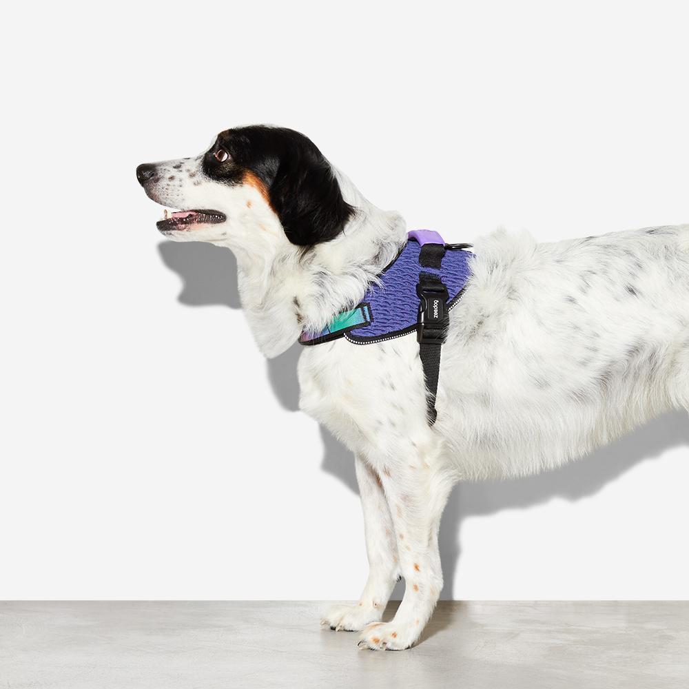 Arnés "FlyHarness" Wicked Zee.Dog