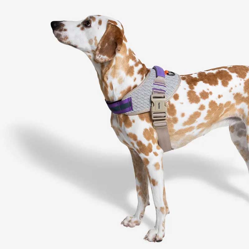 Arnés "FlyHarness" ACG Zee.Dog