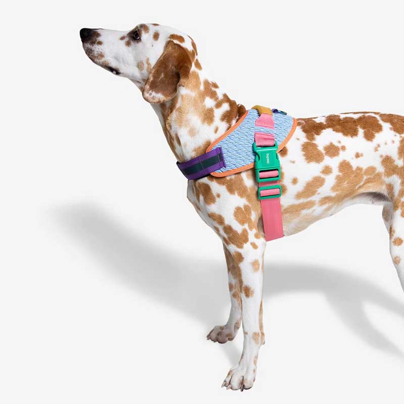 Arnés "FlyHarness" Galaxy Zee.Dog - Talla 5
