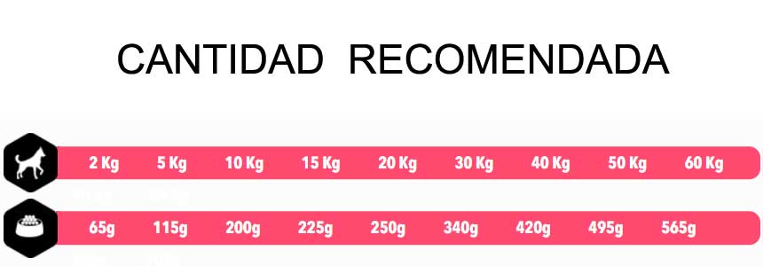 Amity Low Grain Cerdo Ibérico para Perro Adulto