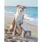 Frazada para Mascotas "Micro Sherpa" Tall Tails 