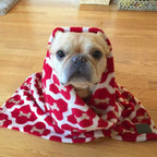 Frazada para Mascotas "Red Bone" Tall Tails