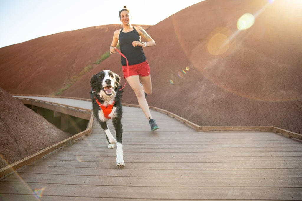 Correa para Perros Ruffwear "Front Range"