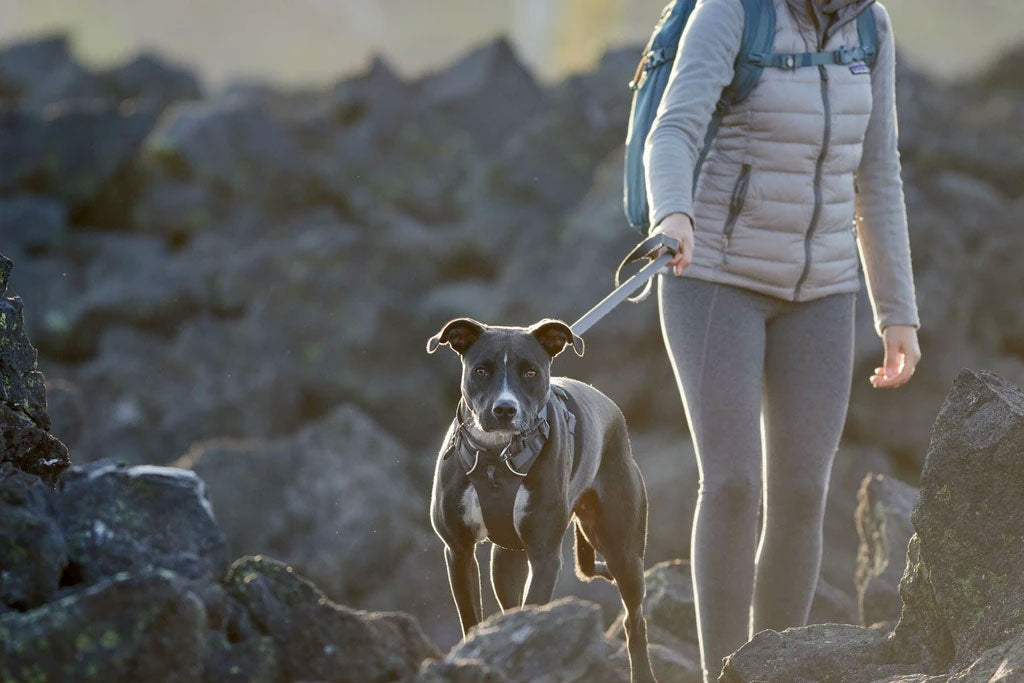 Correa para Perros Ruffwear "Front Range"