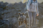 Correa para Perros Ruffwear "Front Range"