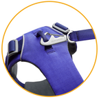 Arnés para Perros "Front Range" Ruffwear - XS / Blue Pool