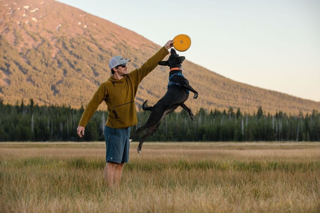 Arnés para Perros "Front Range" Ruffwear