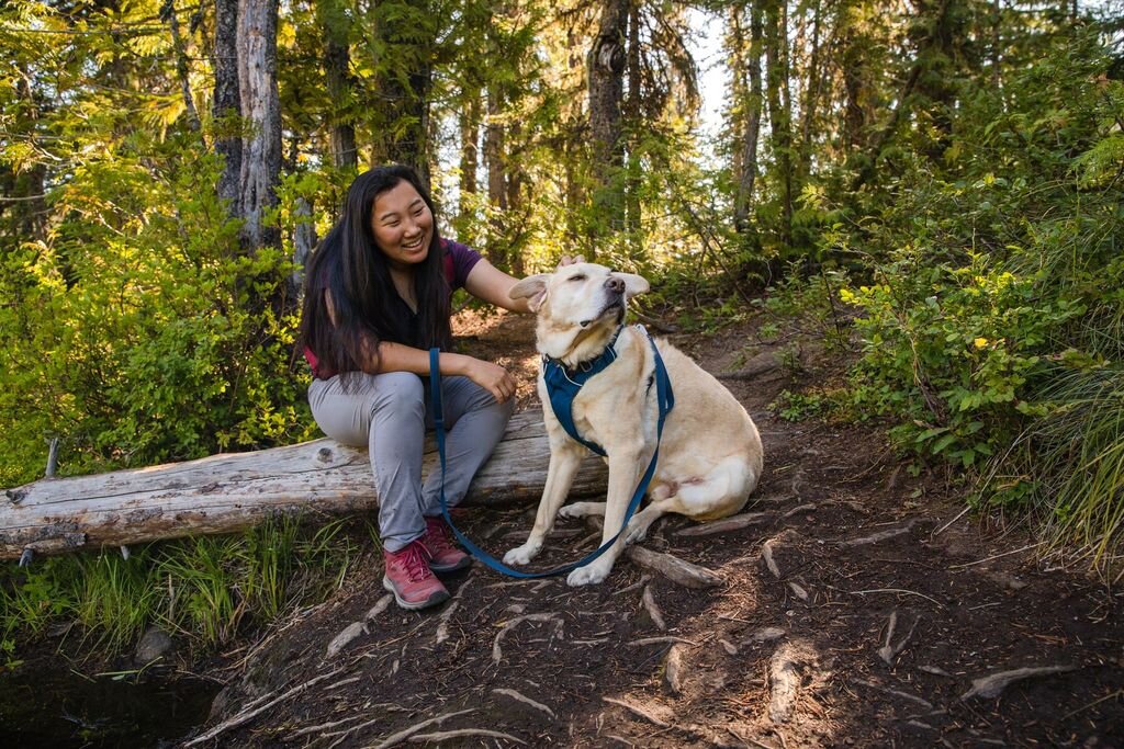 Arnés para Perros "Front Range" Ruffwear