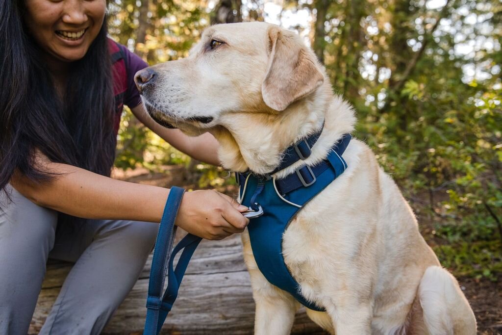Arnés para Perros "Front Range" Ruffwear