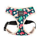 Arnés para Perros "Dinosaur Land" Fuzzyard - S