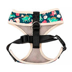 Arnés para Perros "Dinosaur Land" Fuzzyard