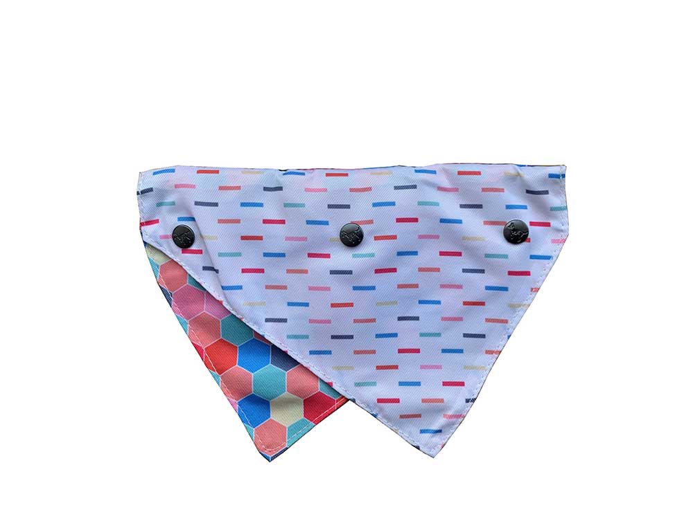 Bandana para Mascotas "The Hive" Fuzzyard