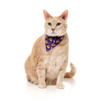 Fuzzyard Fashion Pack "Caturday Night Fever" para Gatos