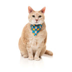 Fuzzyard Fashion Pack "Cheesy Hearts" para Gatos