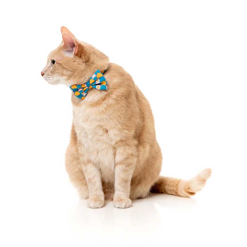 Fuzzyard Fashion Pack "Cheesy Hearts" para Gatos