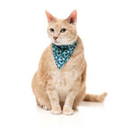 Fuzzyard Fashion Pack "Wild One Aqua" para Gatos