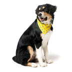 Bandana para Mascotas "Monkey Mania" Fuzzyard