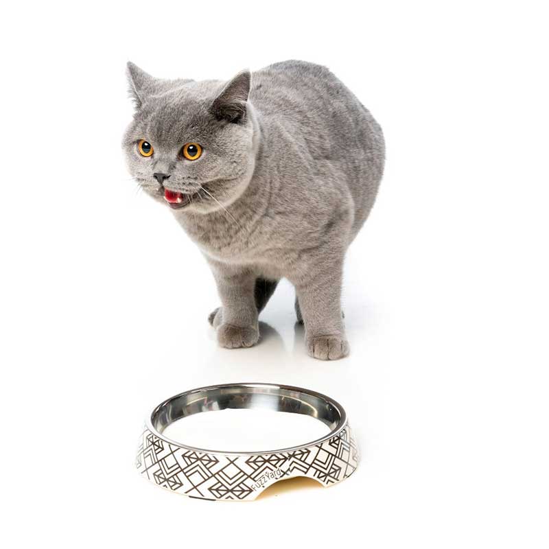 Bowl "Gastby" para Gatos