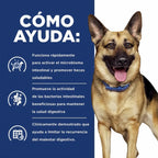 Hill's Gastrointestinal Biome para Perros en bolsa, alimento clínico para el cuidado digestivo y de la fibra con pollo y ActivBiome+.