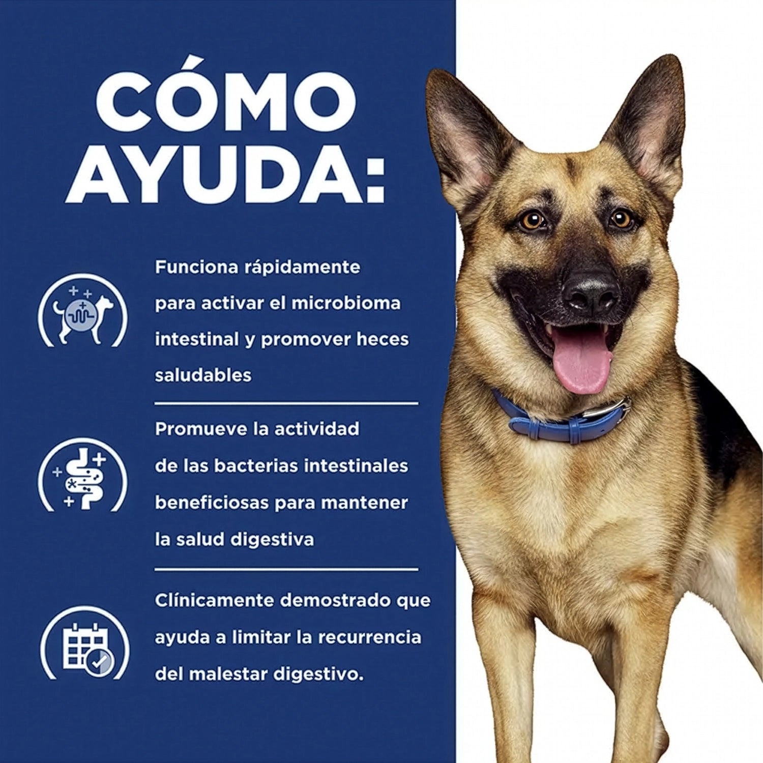 Hill's Gastrointestinal Biome para Perros en bolsa, alimento clínico para el cuidado digestivo y de la fibra con pollo y ActivBiome+.