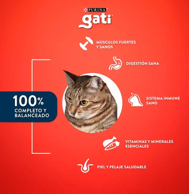 Gati Pescado y Salmón para Gatos Adultos