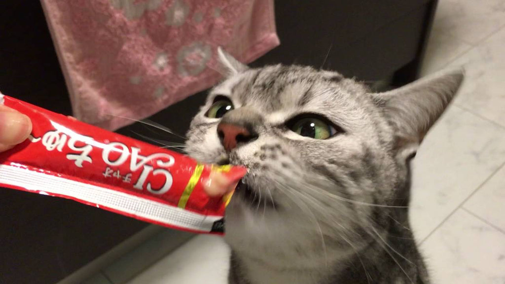 Snack Churu Atún para Gatos